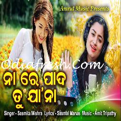 Na Re Pada Tu Jaa Na